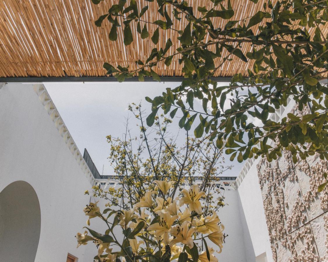 Casa Carmen Morelos Oaxaca Екстериор снимка
