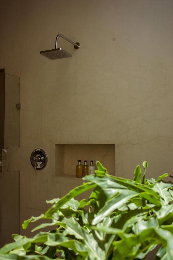Casa Carmen Morelos Oaxaca Екстериор снимка